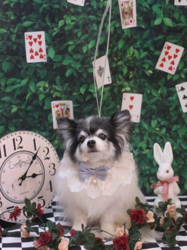 20250430ミルクくん